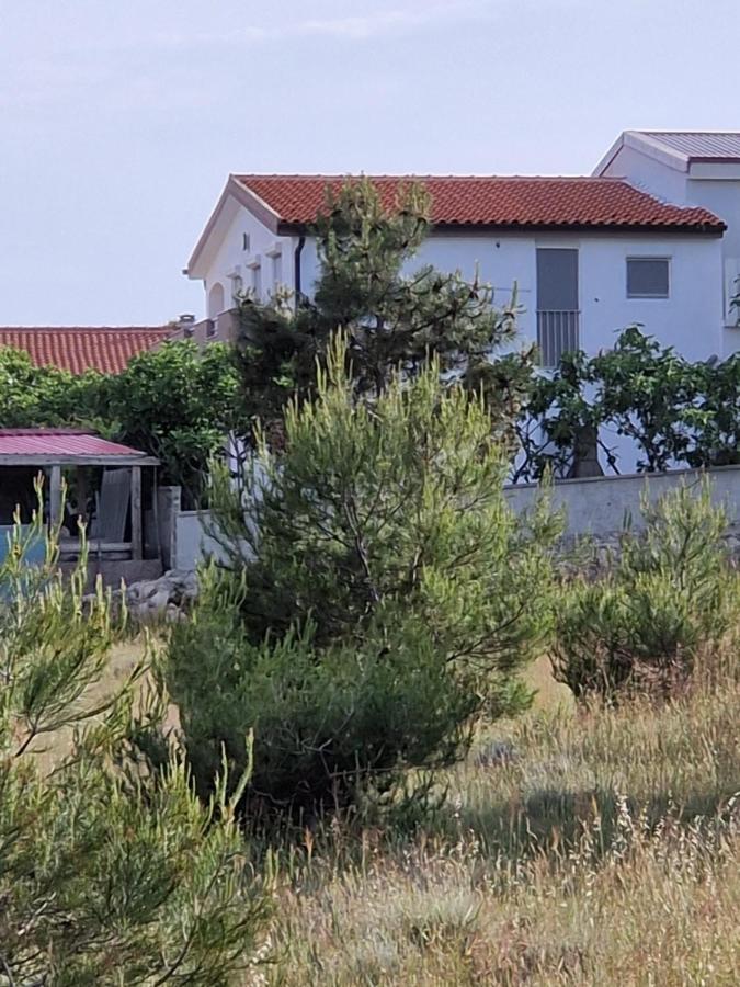 Apartments Ema Vir Esterno foto